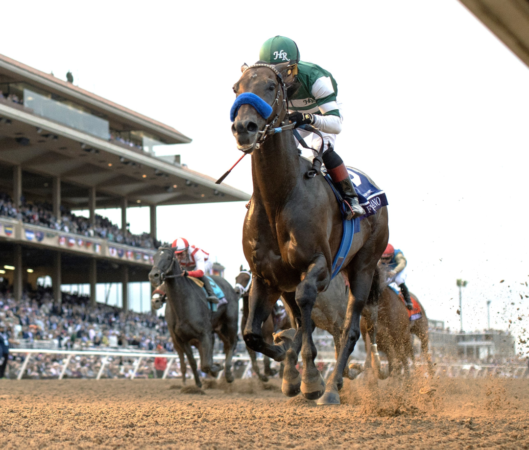 Breeders' Cup Dirt Mile Full Serrano tracks hot pace and keeps on going